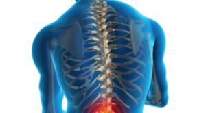 back spine