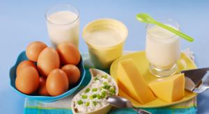 nutrition dairy products