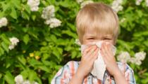 Allergy Symptoms and Management
