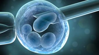 Developments and Advancements in Fertility Treatments