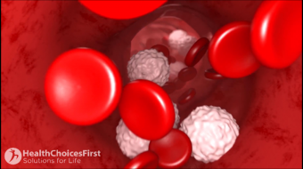 blood cells with sugar