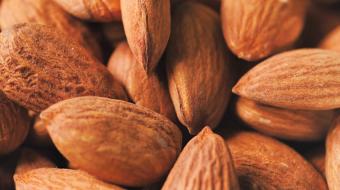 nutrition almonds