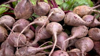 Weight Management - The Health Benefits of Beets
