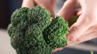 nutrition broccoli
