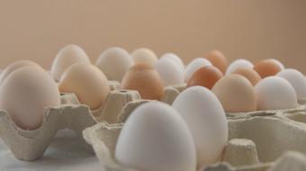 nutrition eggs
