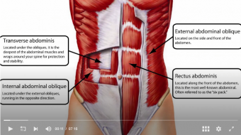 screenshot at exercises for the core transverse abdominis