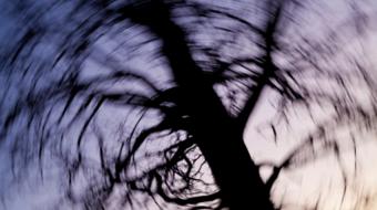 spinning tree