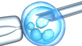 What Are Some Common Fertility Treatments?
