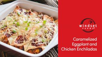 Windset Farms® Caramelized Eggplant & Chicken Enchiladas