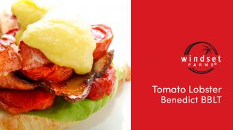 Windset Farms® Tomato Lobster Benedict BBLT