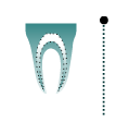 FHL, Certified Specialists in Endodontics