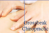 Grossbeak Chiropractic and Fitness