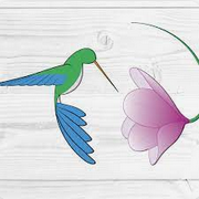 Coastal Roots Health Centre