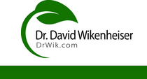 Dr David Wikenheiser