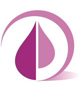 Pelvic Support Physiotherapy