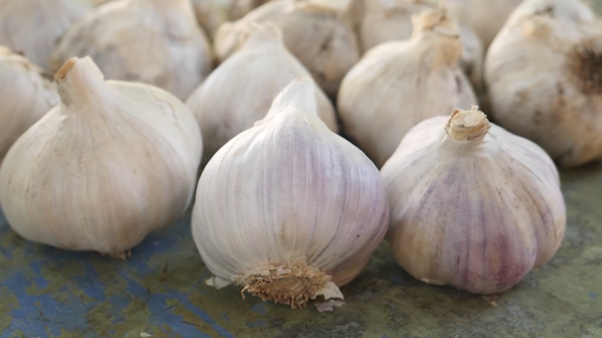 foods garlic