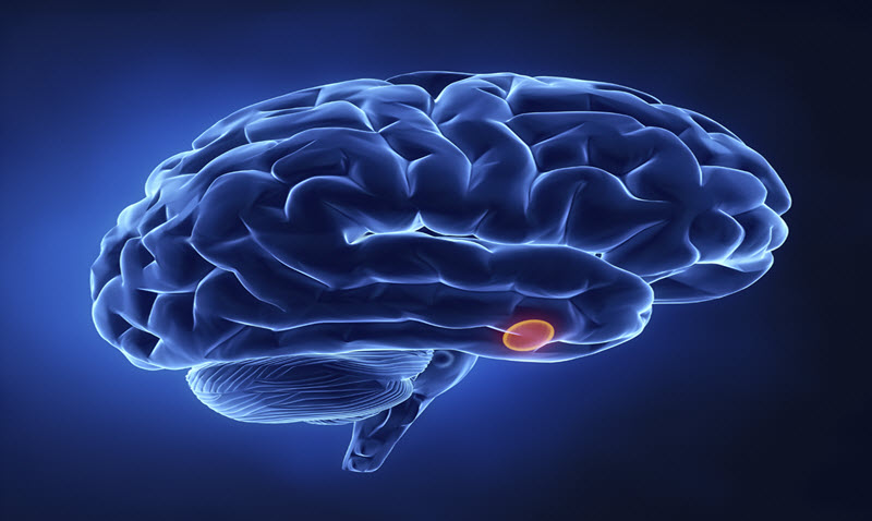 Pituitary Gland Tumors - Effects on Health and Treatment Options